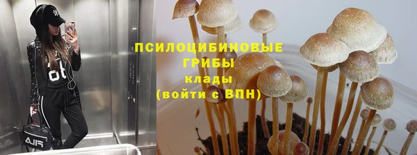 каннабис Баксан